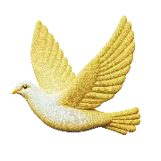 nikola tesla dove logo 369 store official